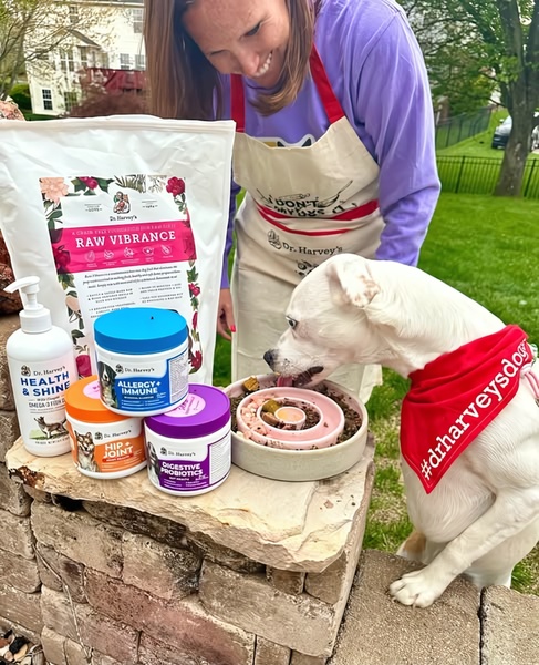 A split-view image showing a person preparing a raw food meal for a dog, with clear product supplement packaging displayed on a stone ledge.